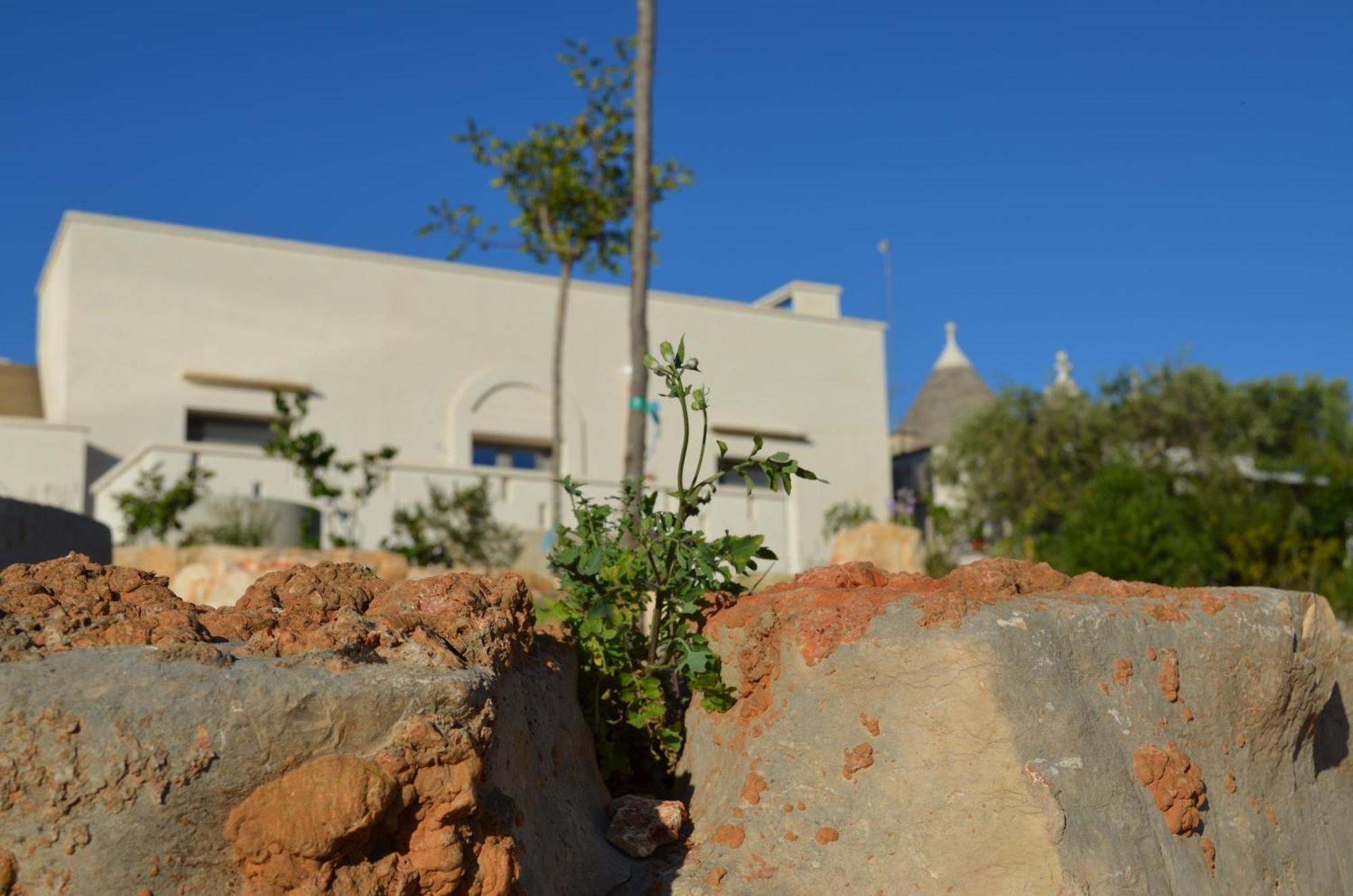 B&B Fuga Al Trullo Ostuni Dış mekan fotoğraf